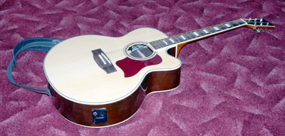 G4M jumbo electro-acoustic.JPG